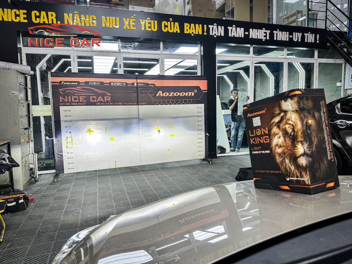 den-lion-king-vios-2