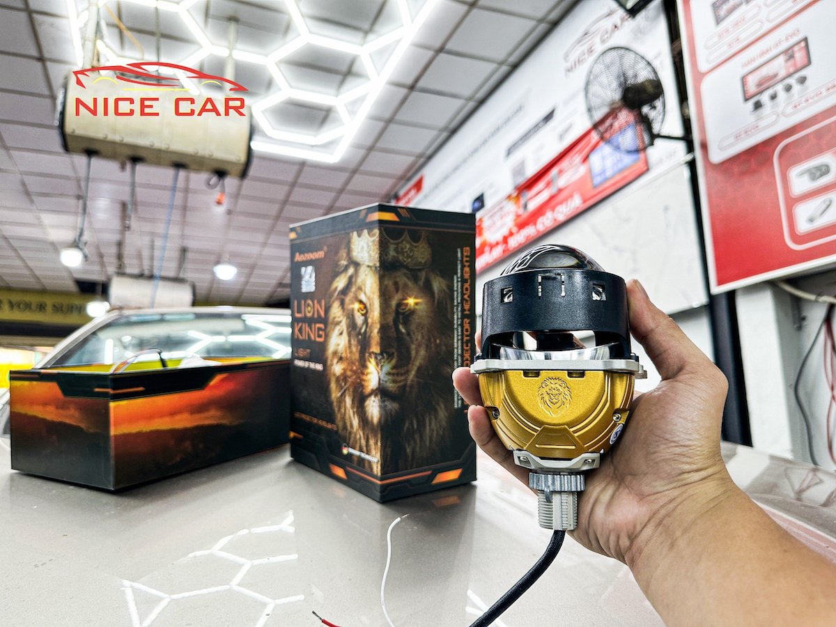 den-lion-king-vios-4