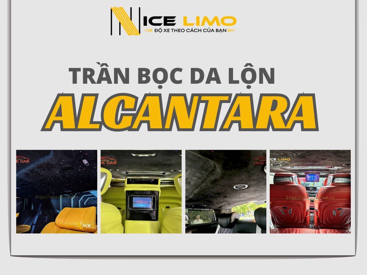 tran da ln Alcantara 1
