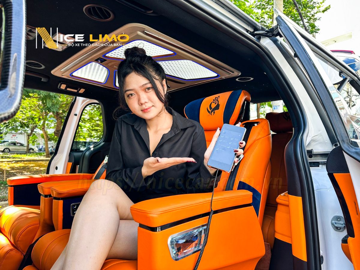 do-ghe-limousine-cho-palisade-nang-tam-trai-nghiem-duong-xa-4