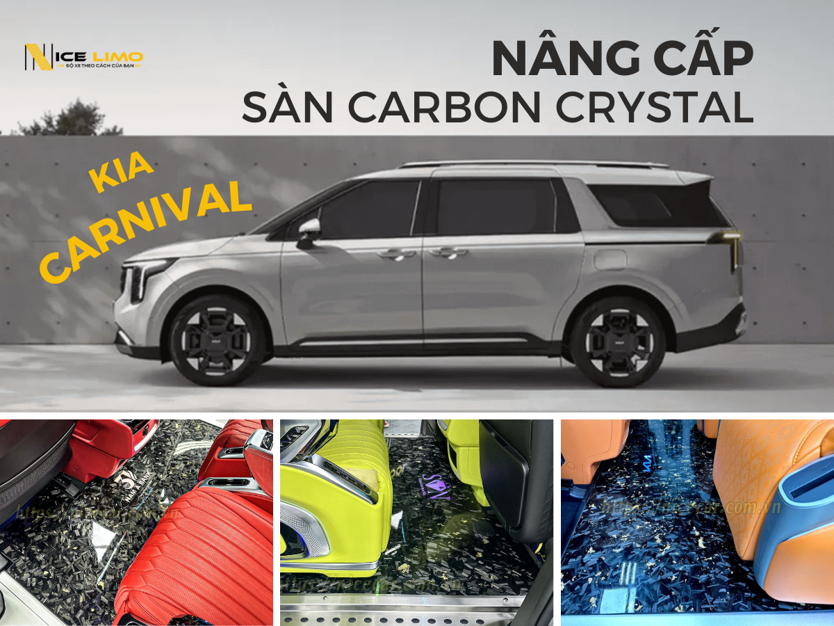 sàn carbon carnival